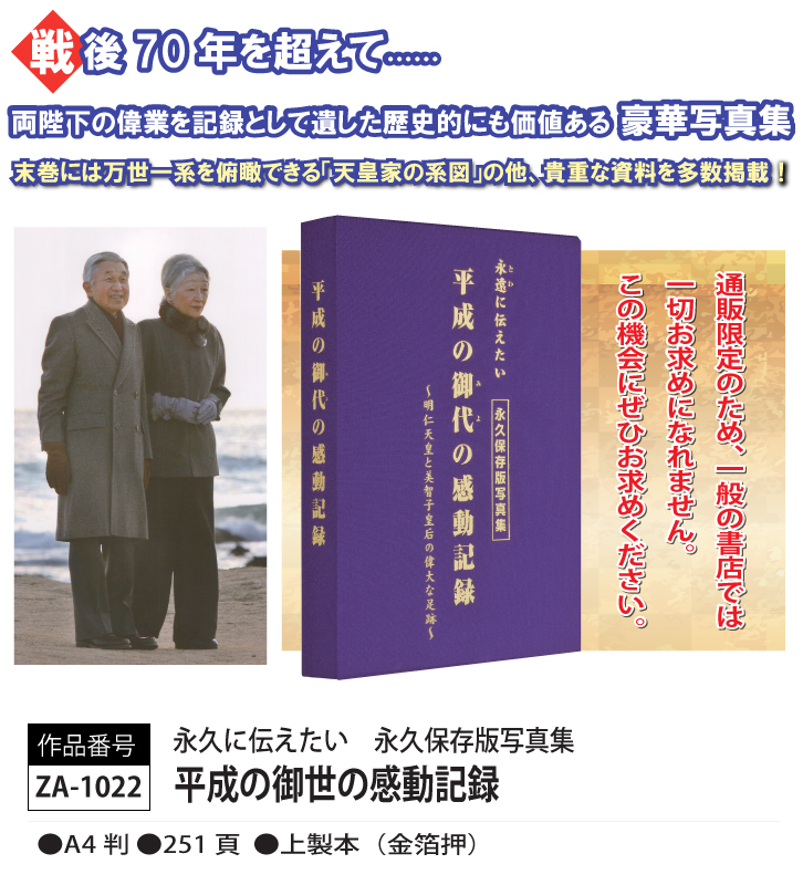 平成の御代の感動記録☆美品